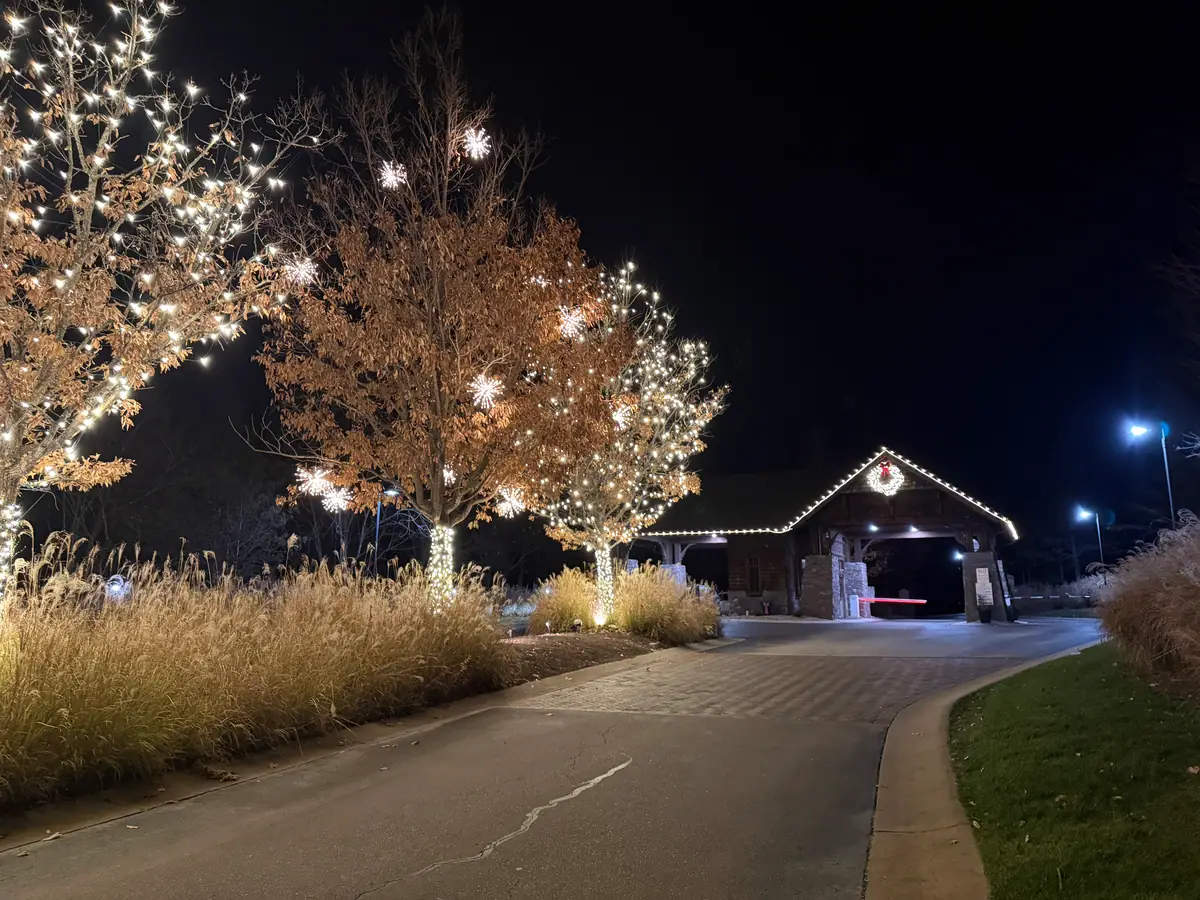 Trees wrapped in warm white lights lining the entry drive to a lakeside lodge
