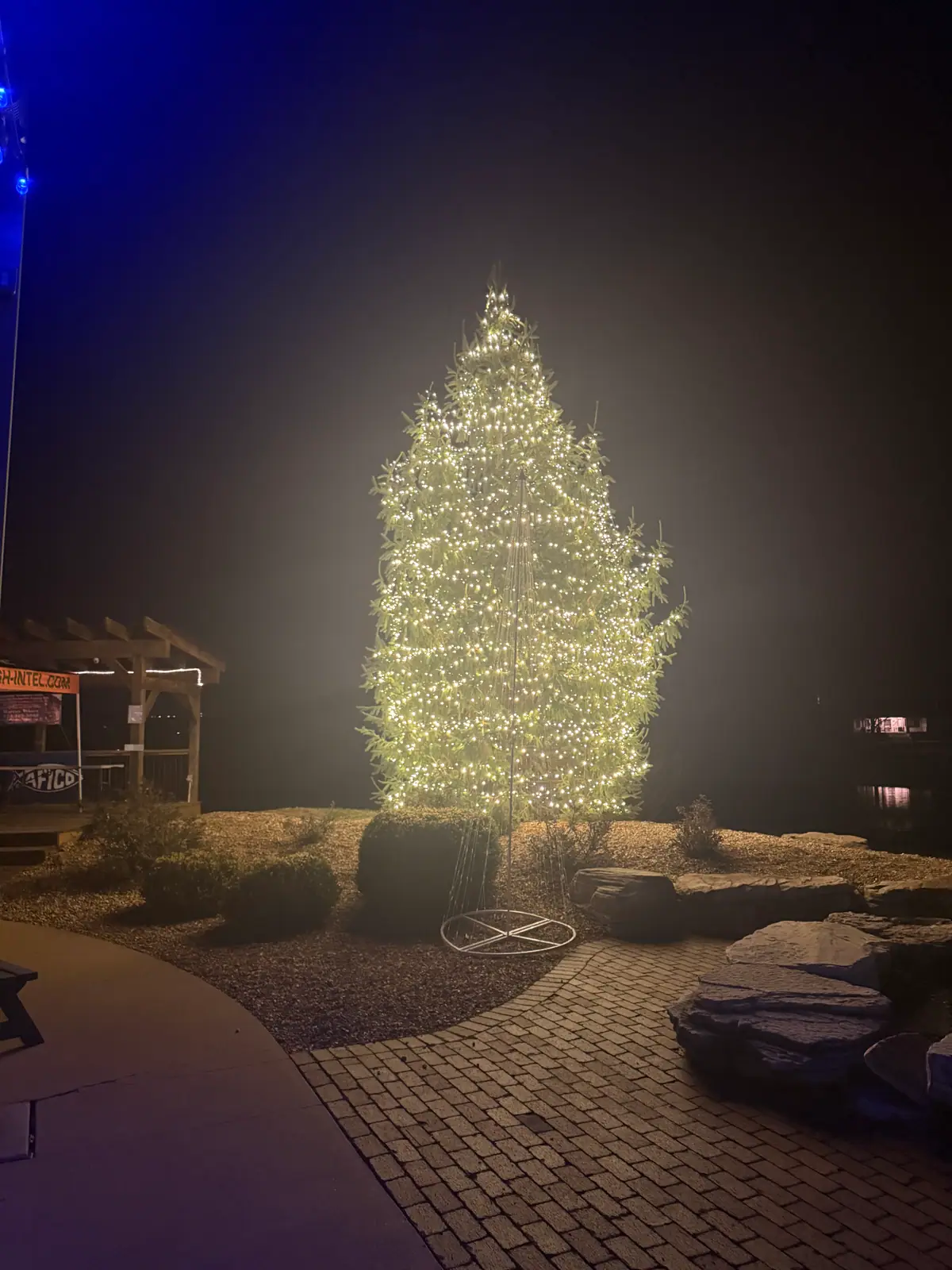 A tall evergreen wrapped top to bottom in warm white lights beside the water